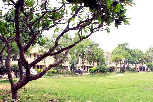 3 BHK Flat for Rent in Ashiana Gardens, Bhiwadi