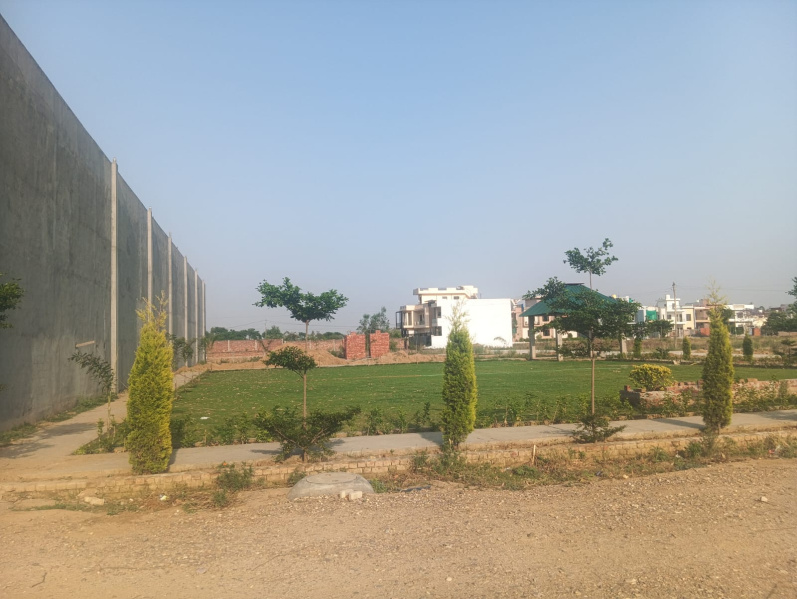  Residential Plot 900 Sq.ft. for Sale in Rama Mandi, Jalandhar