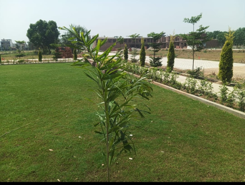 4 BHK House 2206 Sq.ft. for Sale in Rama Mandi, Jalandhar