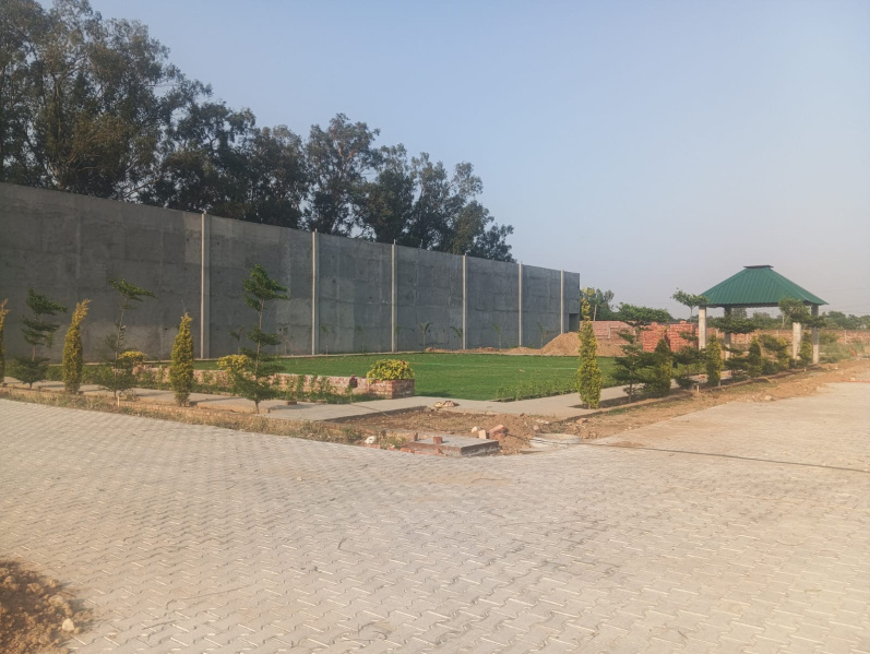  1280 Sq.ft. Residential Plot for Sale in Rama Mandi, Jalandhar