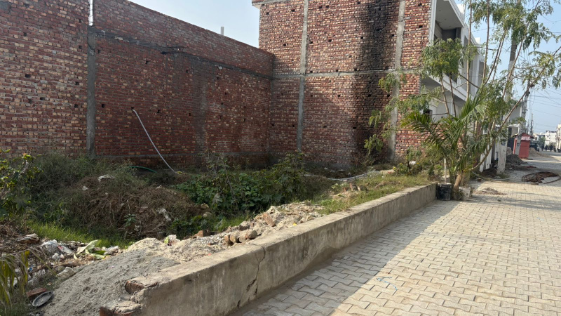  745 Sq.ft. Residential Plot for Sale in Verka Milk Plant, Jalandhar