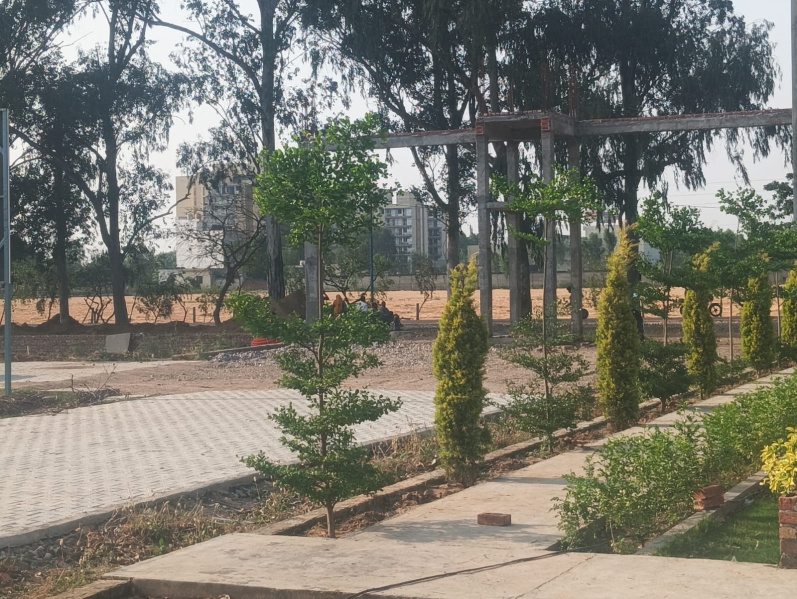  1172 Sq.ft. Residential Plot for Sale in Nangal Shama, Jalandhar