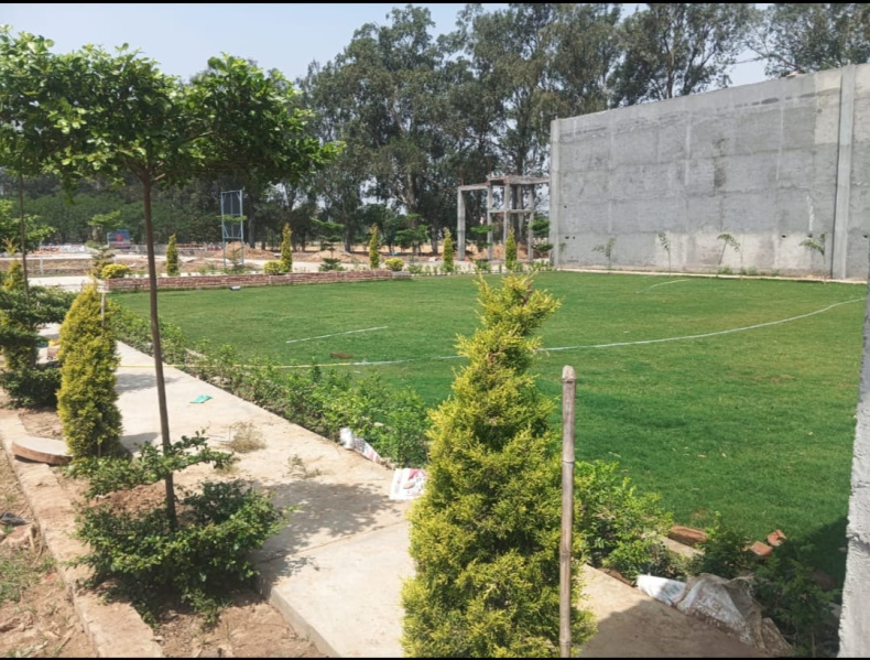  1173 Sq.ft. Residential Plot for Sale in Rama Mandi, Jalandhar