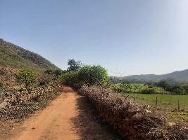  Agricultural Land for Sale in Bargaon, Udaipur
