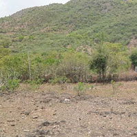  Residential Plot for Sale in Nathdwara, Rajsamand