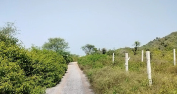  Agricultural Land for Sale in Nathdwara, Rajsamand