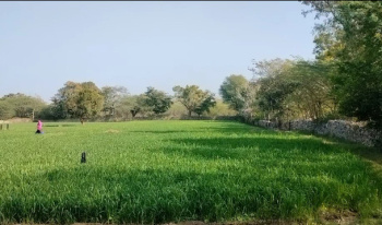  Agricultural Land for Sale in Khempura, Udaipur