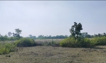  Agricultural Land for Sale in Bhopalsagar, Chittaurgarh
