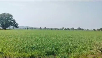  Agricultural Land for Sale in Udaipur Road, Banswara
