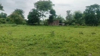  Agricultural Land for Sale in Mavli, Udaipur