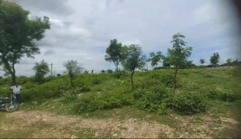  Agricultural Land for Sale in Nathdwara Road, Udaipur