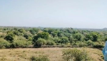  Agricultural Land for Sale in Girwa, Udaipur