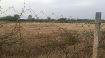  Agricultural Land for Sale in Chandesara, Udaipur