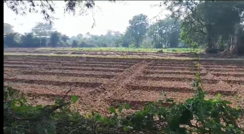  Agricultural Land for Sale in Madri, Udaipur