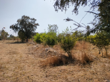  Agricultural Land for Sale in Girwa, Udaipur