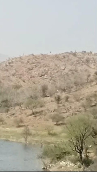  Agricultural Land for Sale in Nathdwara, Rajsamand