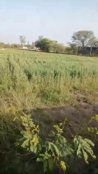  Agricultural Land for Sale in Dabok, Udaipur