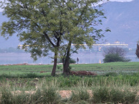  Residential Plot for Sale in Girwa, Udaipur