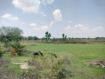  Agricultural Land for Sale in Nathdwara, Rajsamand