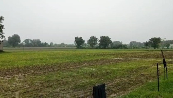  Agricultural Land for Sale in Mavli, Udaipur