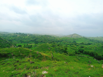  Agricultural Land for Sale in Nathdwara Road, Udaipur