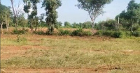  Agricultural Land for Sale in Sakroda, Udaipur