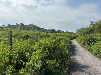  Agricultural Land for Sale in Nathdwara Road, Udaipur