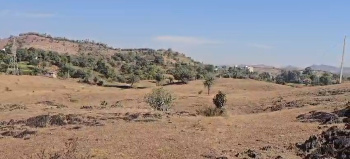  Agricultural Land for Sale in Rishabhdev, Udaipur