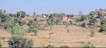 Agricultural Land for Sale in Kodiyat, Udaipur