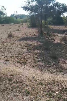  Agricultural Land for Sale in Nathdwara Road, Udaipur