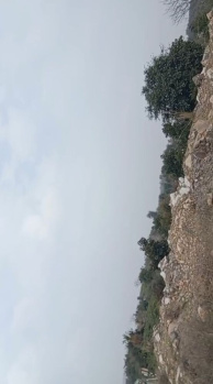  Agricultural Land for Sale in Nathdwara, Rajsamand
