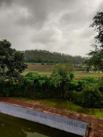  Agricultural Land for Sale in Dhariawad, Pratapgarh