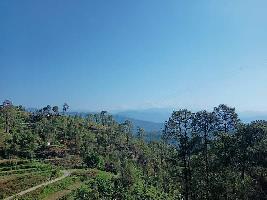  Agricultural Land for Sale in Kausani, Almora