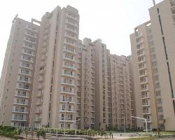 3 BHK Flat for Sale in Greater Faridabad