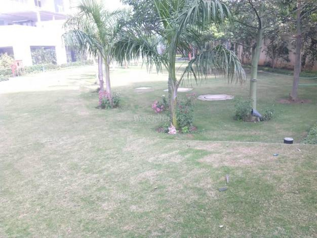 4 BHK 3160 Sq.ft. Apartment for Rent in Sector 54 Gurgaon