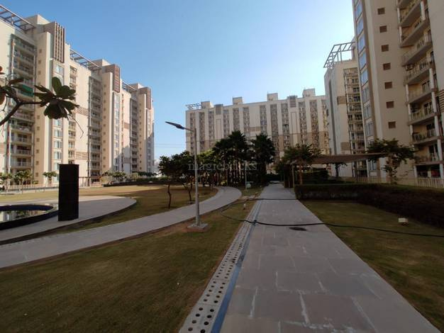 3 BHK 2025 Sq.ft. Apartment for Rent in Sector 102 Gurgaon