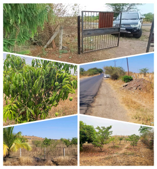  Residential Plot for Sale in Saswad Road, Pune