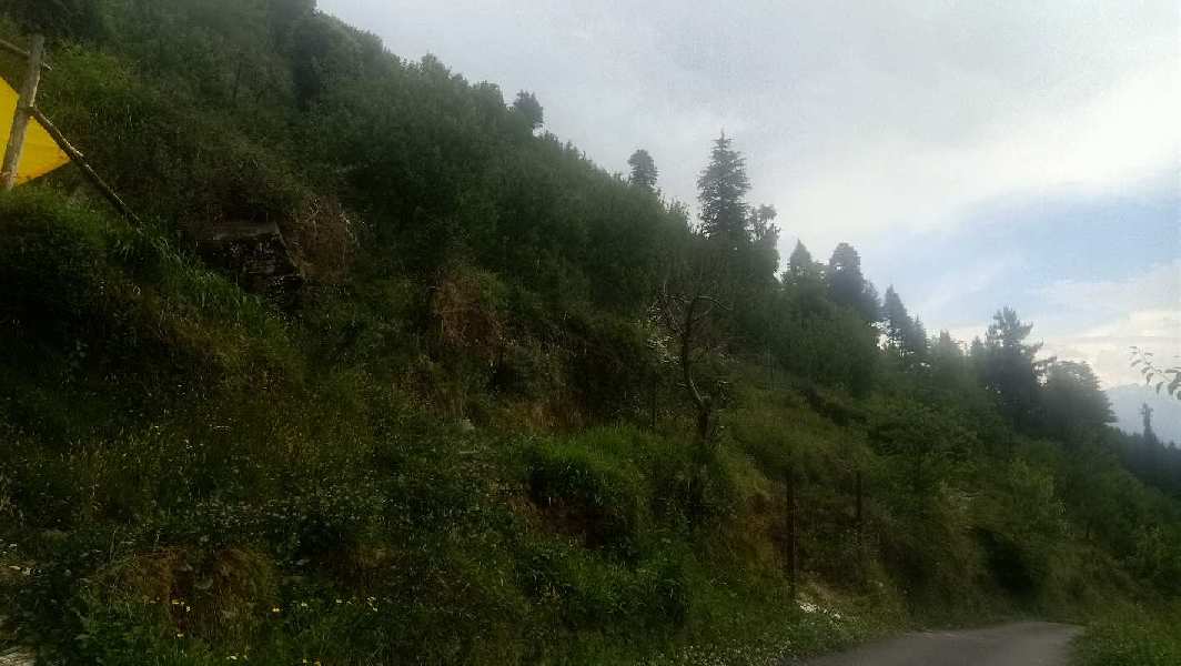 Commercial Land 2 Bigha for Sale in Kanyal Road, Manali