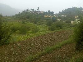  Residential Plot for Sale in Chamba, Tehri Garhwal