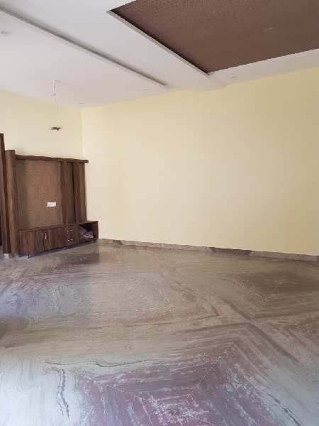 Other Image