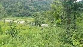  Agricultural Land 11000 Sq. Meter for Sale in Tapovan, Rishikesh