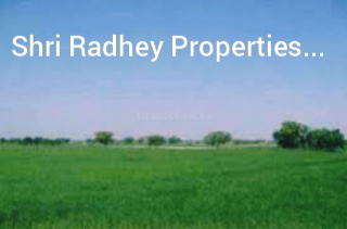 Agricultural Land 30 Acre for Sale in GT Karnal Road, Panipat