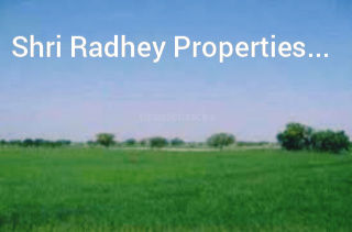  Industrial Land 5 Acre for Sale in Bagru, Sonipat