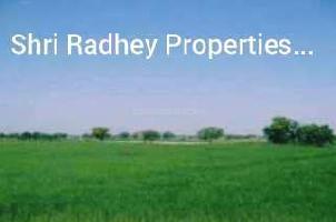  Agricultural Land for Sale in Ganaur, Sonipat
