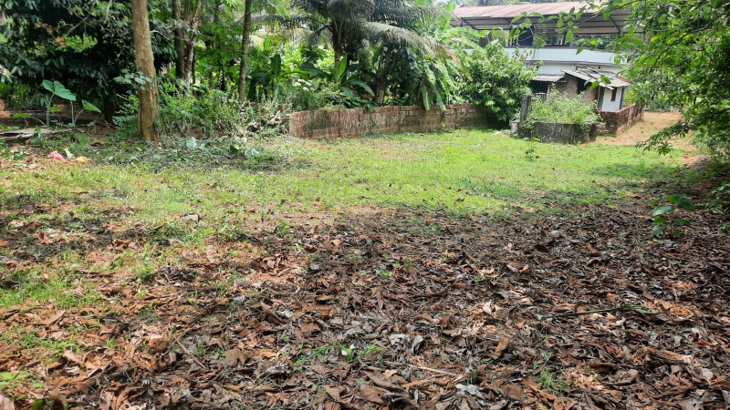  25 Cent Residential Plot for Sale in Mulki, Mangalore