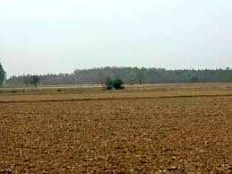  Agricultural Land for Sale in Airport Road, Bangalore