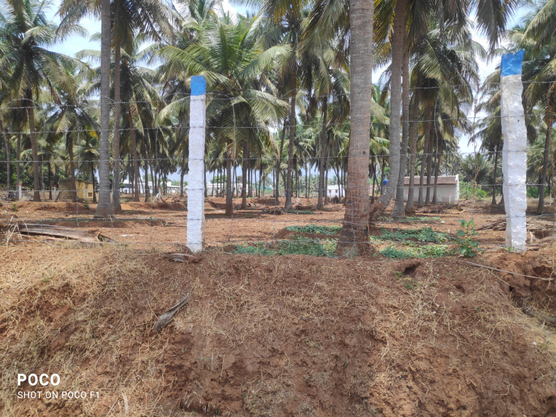 Farm Land for Sale in Navakkarai, Coimbatore (REI1141015)