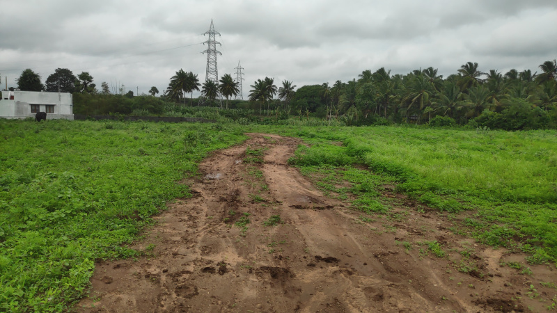  Agricultural Land 8 Acre for Sale in Kinathukadavu, Coimbatore