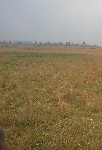  Agricultural Land for Sale in Mohammadi, Lakhimpur Kheri