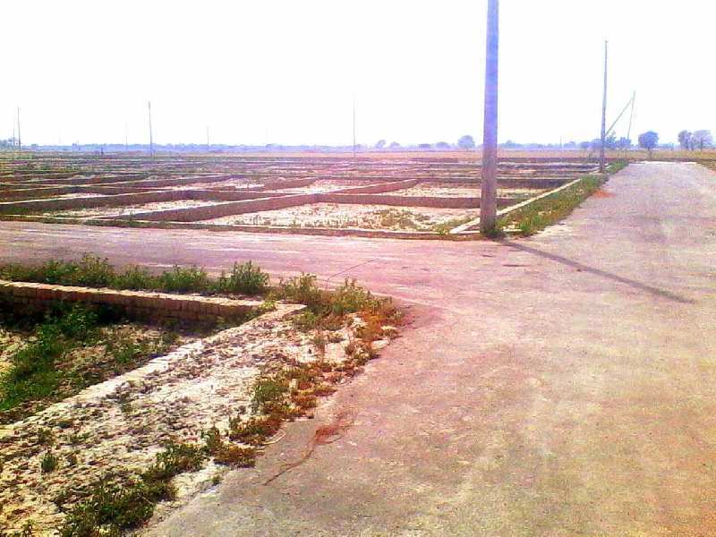  Residential Plot 1000 Sq.ft. for Sale in Hathras Road, Agra